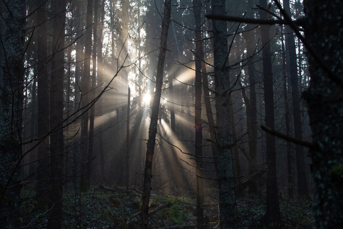 Автор Влад Ионов