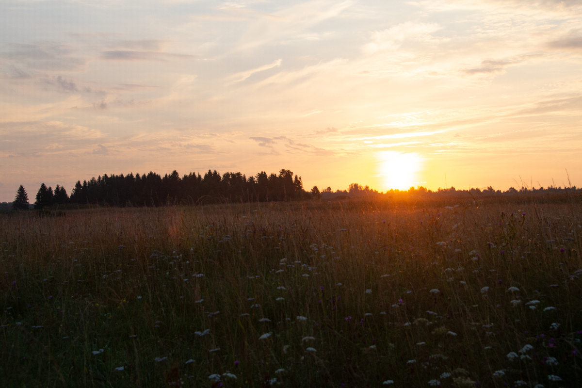 Автор Влад Ионов