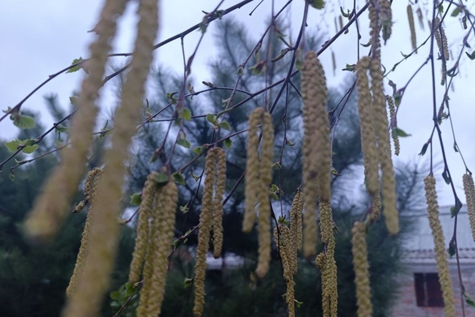    В четверг, 26 февраля, Херсонская область останется в зоне влияния северных воздушных потоков. Фото: администрация Генического муниципального округа
