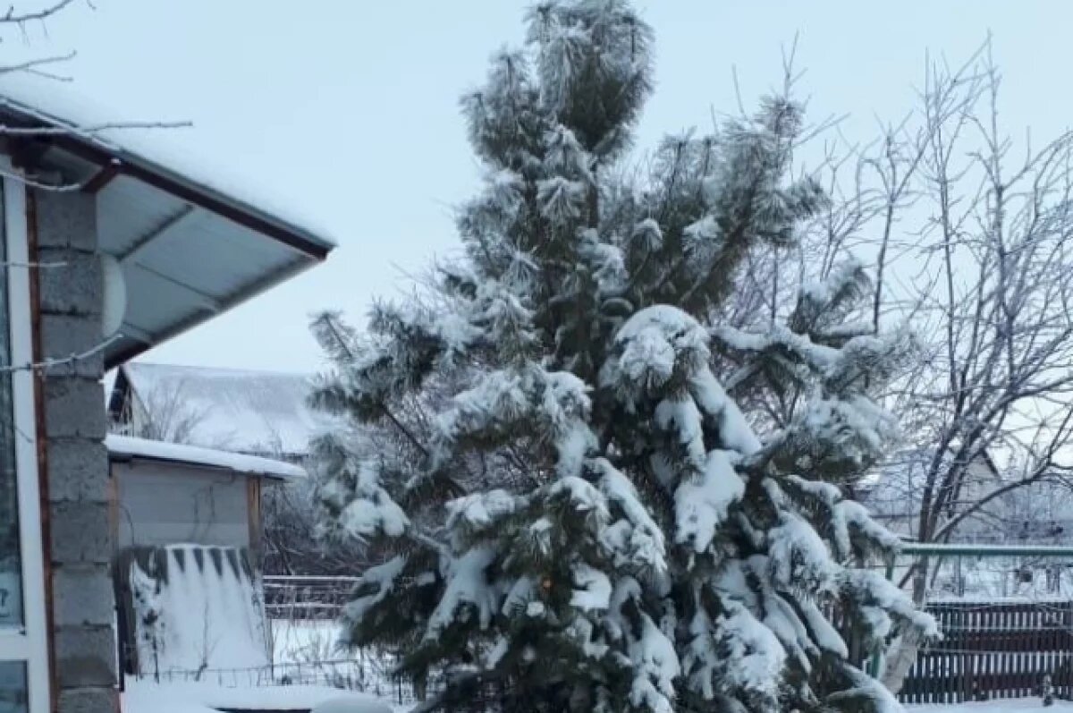    Тулякам рассказали, когда и за что могут начать отбирать дачные участки