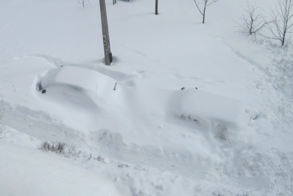 Замело снегом всё! 
