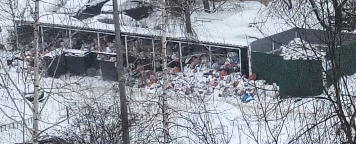 Откуда столько мусора? 