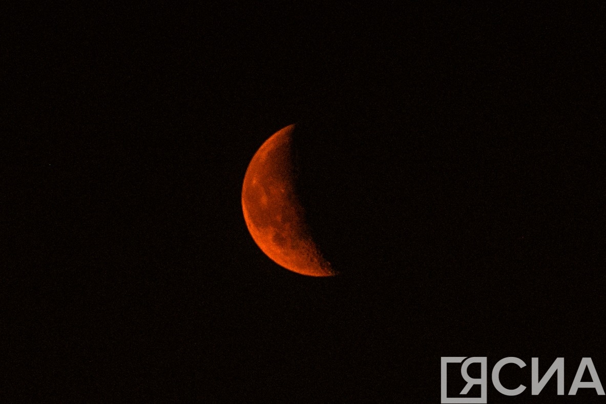 Фото: архив ЯСИА