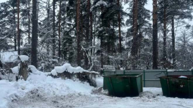 Фото: Комитет государственного экологического надзора Ленинградской области