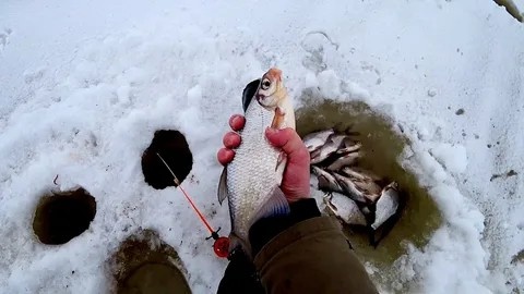 Зимняя ловля густеры