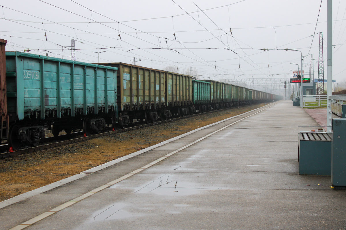 Новая железная дорога будет способствовать развитию промышленности страны, отмечают в КНР.  Фото: Фото: ФедералПресс / Ксения Кобалия