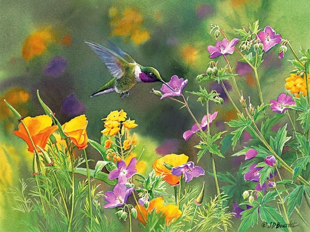 Источник изображения : vk.com›album-34105121_305986364