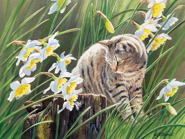 Источник изображения : vk.com›album-34105121_305986364