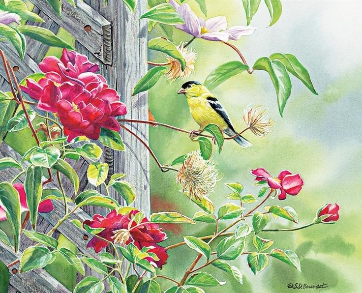 ������������ ������ �������� ���������� ���� � ������� ��� ����, ����� ��� ����� ��������� ��������, ������� ���� � ������� ��������� ��������� � �������. ��� �� ����� ������ ���� � ������ ���� �������� ��������. (������ �����) �������� ����������� : vk.com�album-34105121_305986364