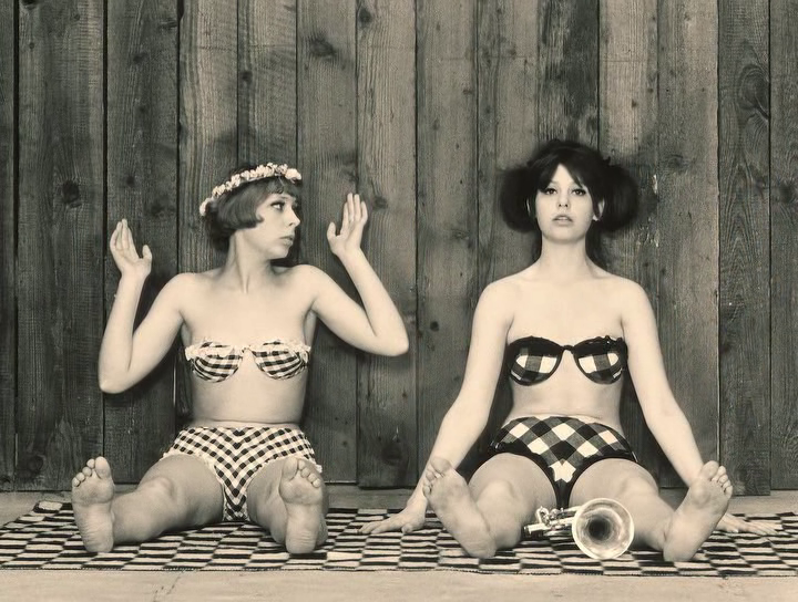 Кадр из фильма "Маргаритки" (1966)