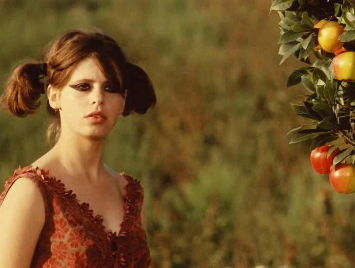 Кадр из фильма "Маргаритки" (1966)