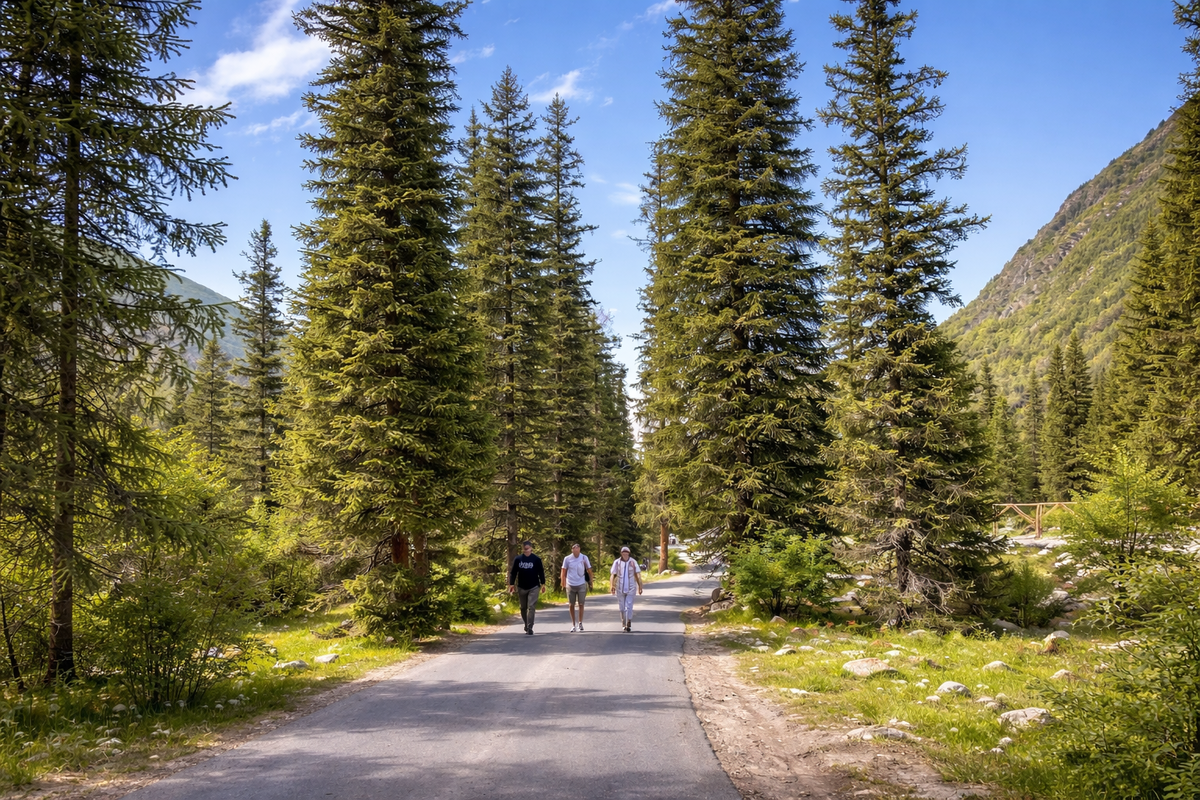 Национальный парк Ала-Арча (Кыргызстан)