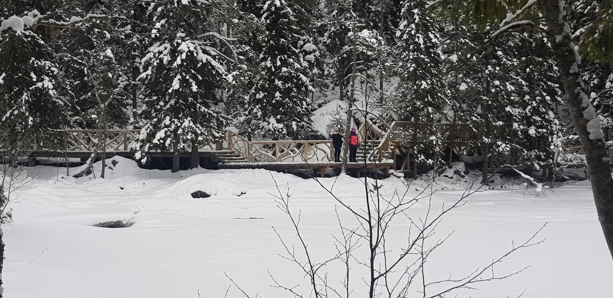    читатель "Фактора"