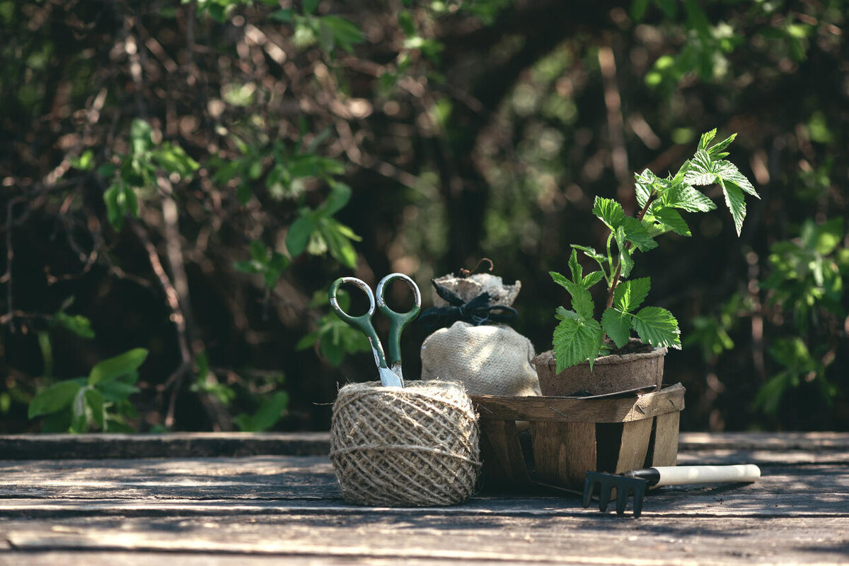     123RF/legion-media.ru