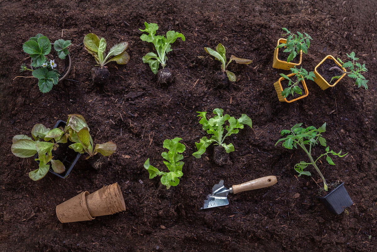     123RF/legion-media.ru