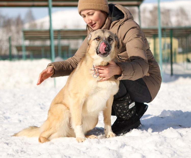    Фото: личный архив волонтеров Отдела содержания безнадзорных животных ЗАО