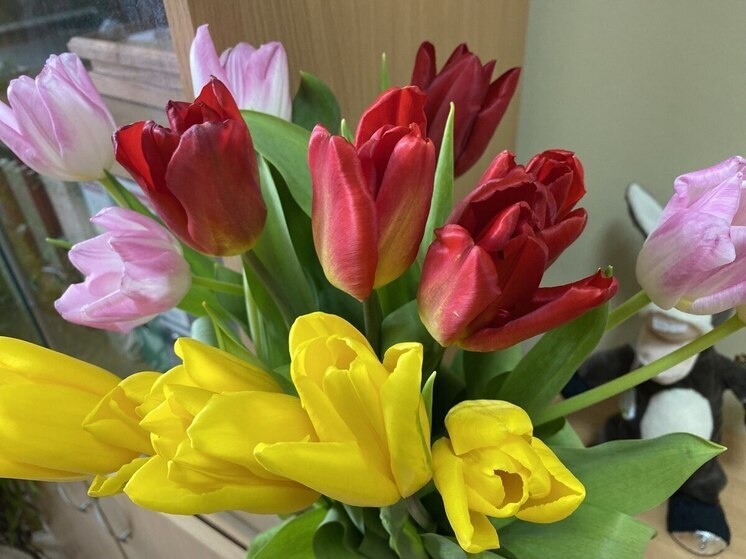     Фото: Анастасия Чебакова