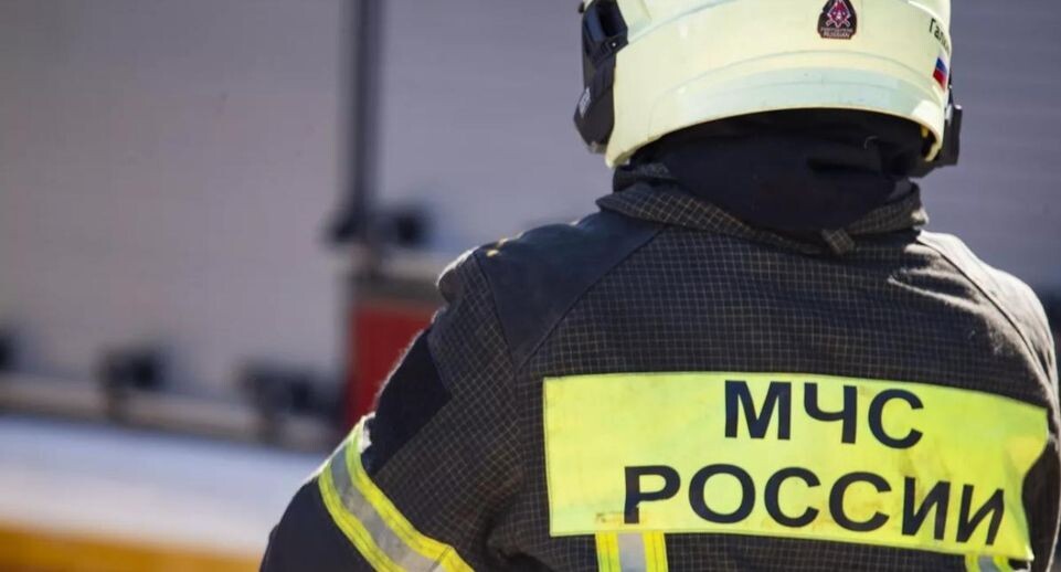    РИА «Новости»