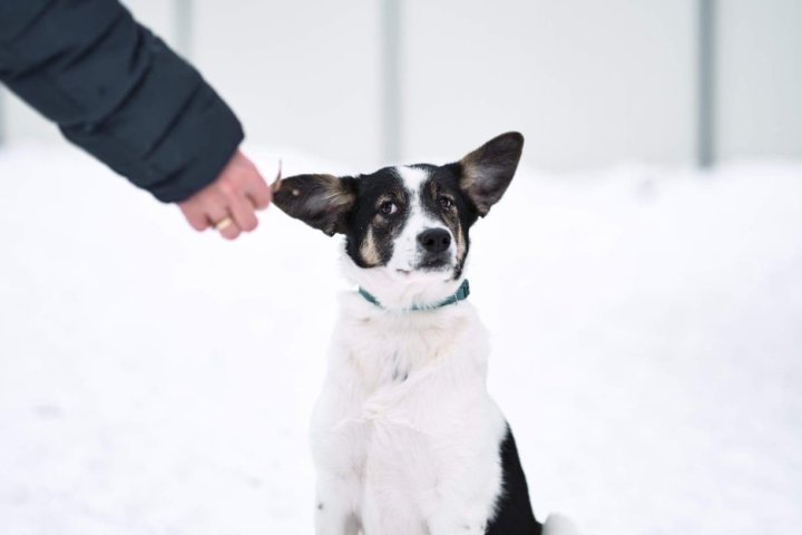 Фотография из интернета