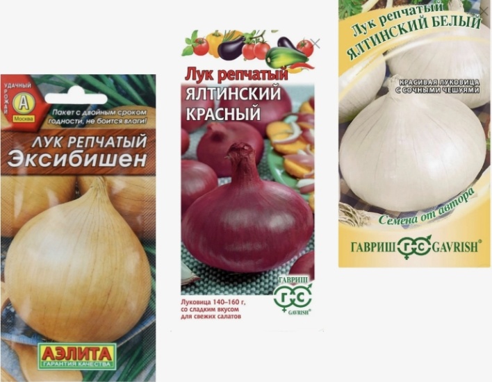 Яндекс. Картинки