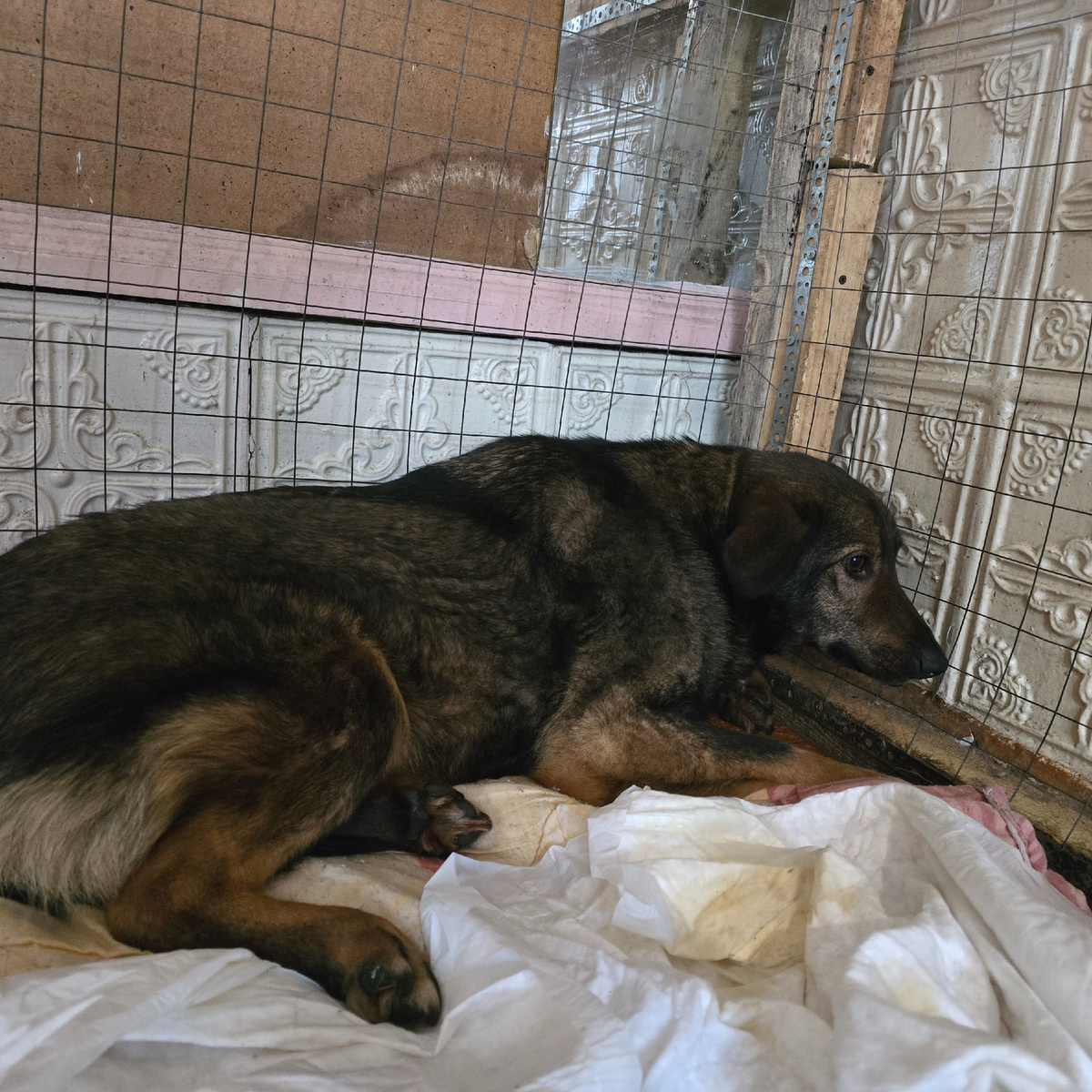 Печальное ожидание того что больше не наступит