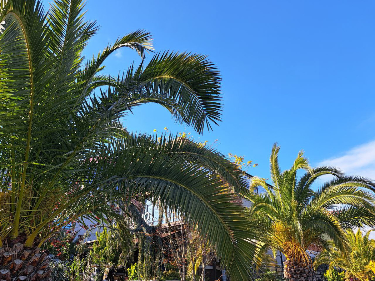 Эксперты сравнили стоимость мартовских туров во Вьетнам и на Хайнань.  Фото: Фото: ФедералПресс / Вера Романескул