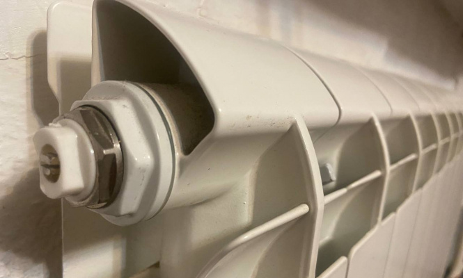    фото: © Столица на Онего