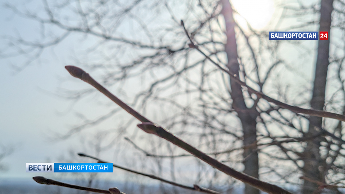    Днем в Башкирии потеплеет до 0°
