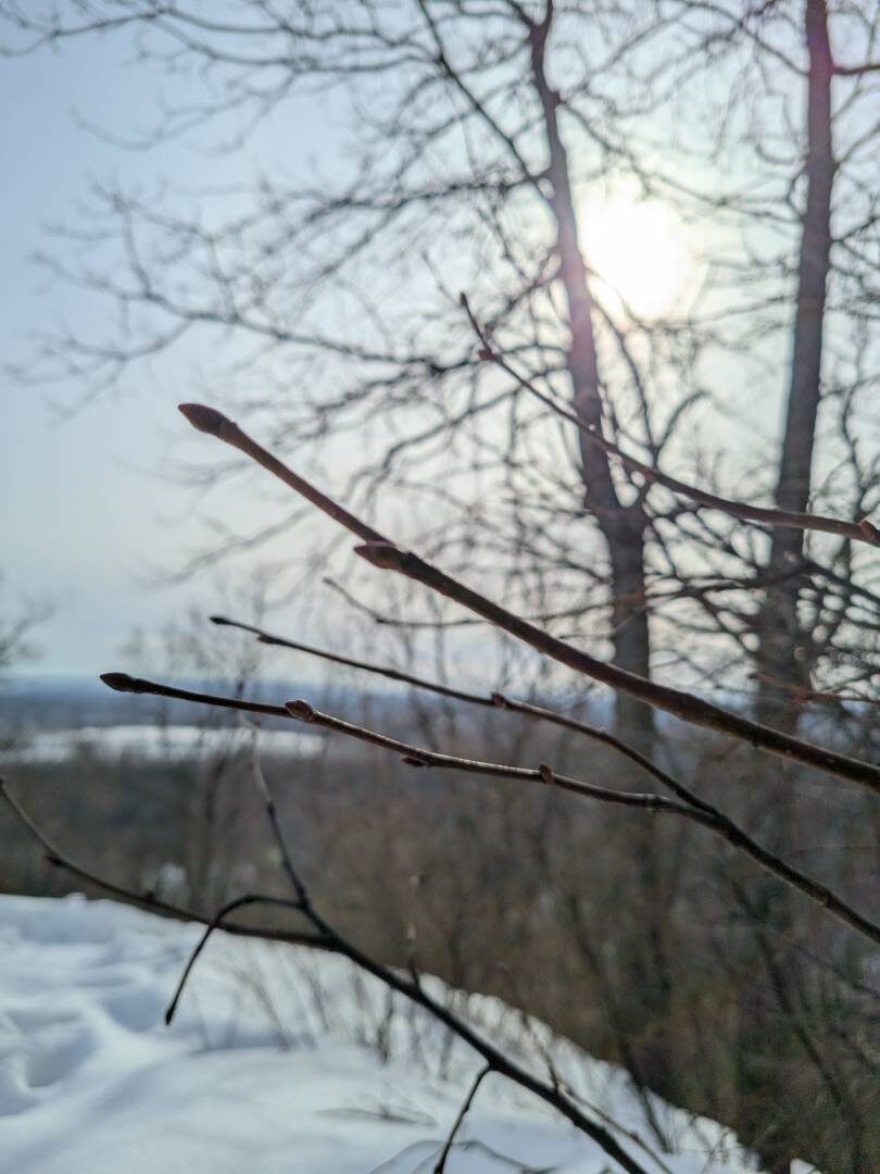    Днем в Башкирии потеплеет до 0°