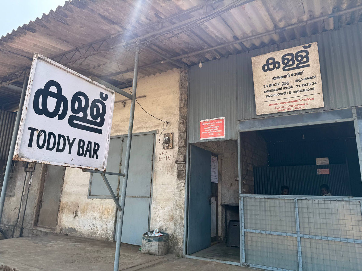 Словами tari, tāḍi индийцы называют некоторые виды пальм. Отсюда название напитка и самого бара - "тодди".