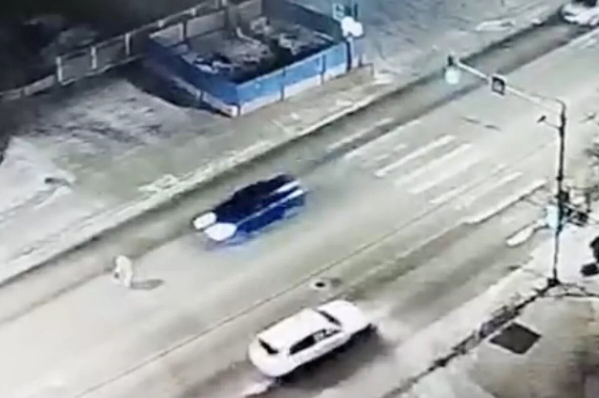    Красноярка перебегала дорогу в 10 метрах от «зебры» и попала под колёса