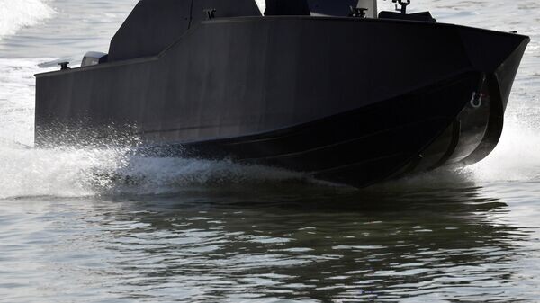    © Sputnik / Михаил Воскресенский