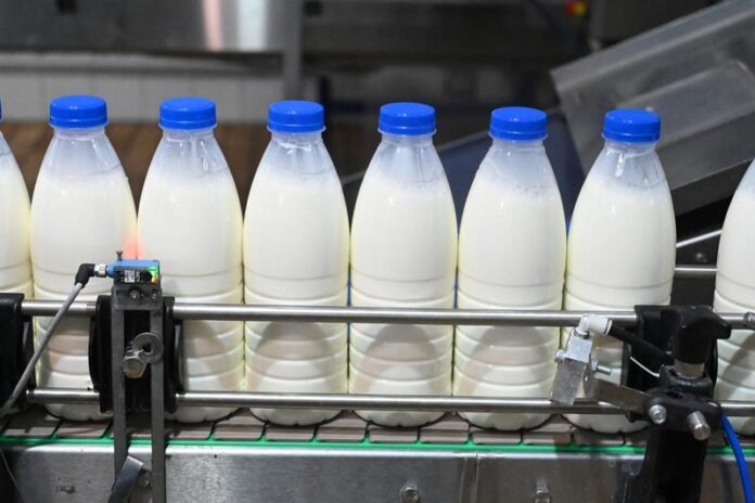 Фото: Павел Ворожцов, «Областная газета»