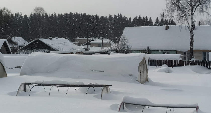    Фото: progorod43.ru