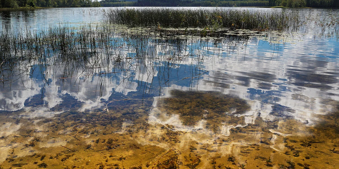 Метан, сероводород и исчезнувшие туристы: научное расследование тайны озера Бросно