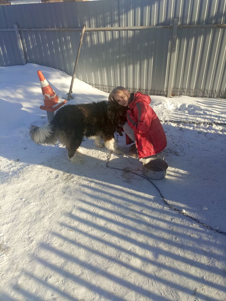 Маленькая хозяйка души не чает в своей большой и пушистой подруге, и они постоянно играют вместе.