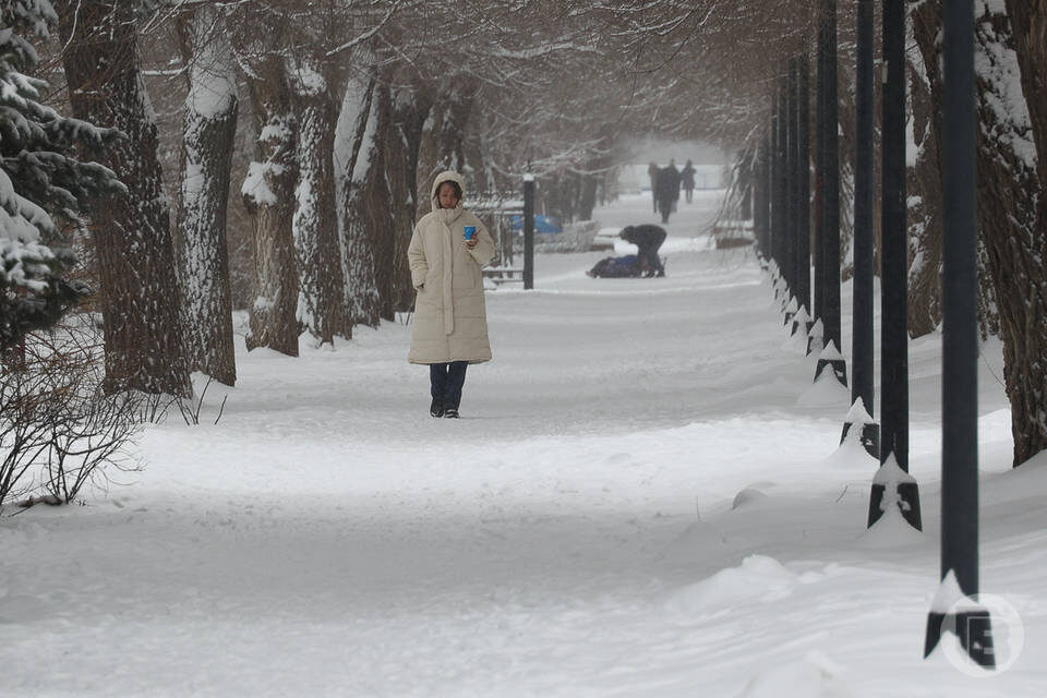   Фото: Дмитрий Рогулин / "Городские вести"