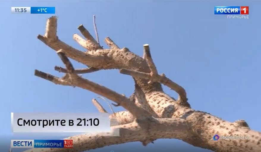    Источник фото: