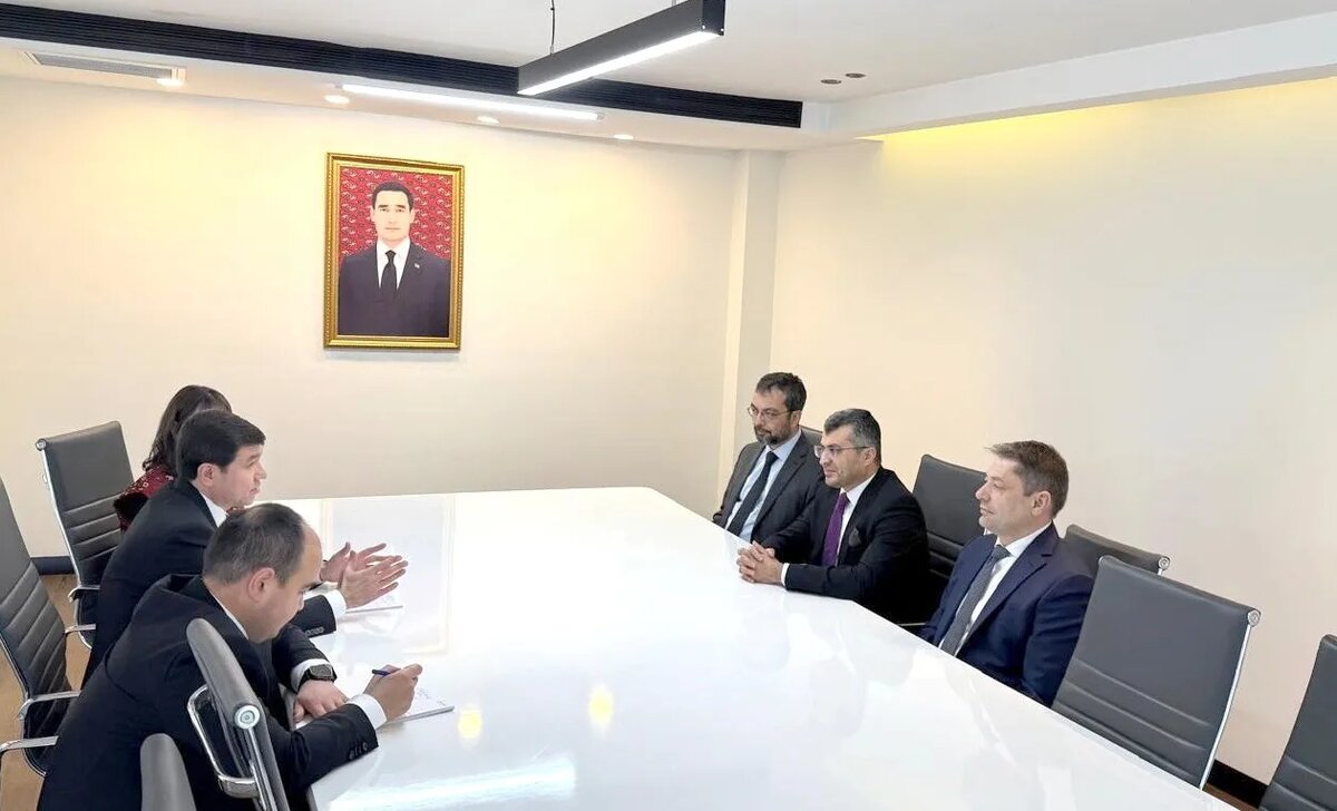    Цветокоррекция оригинального изображения была произведена с использованием ИИ "Ниязов 2.0"