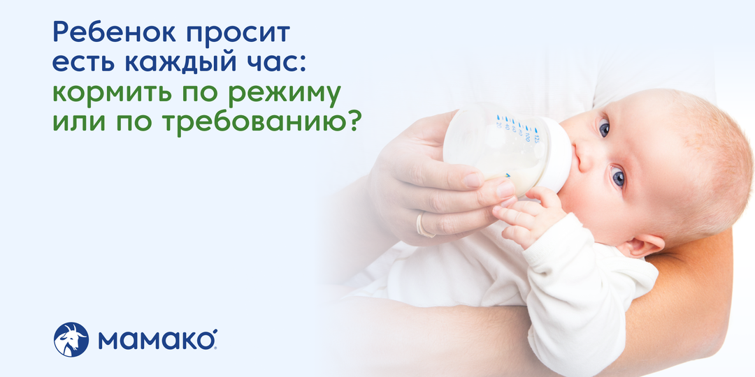 Ребенок просит есть каждый час: кормить по режиму или по требованию?