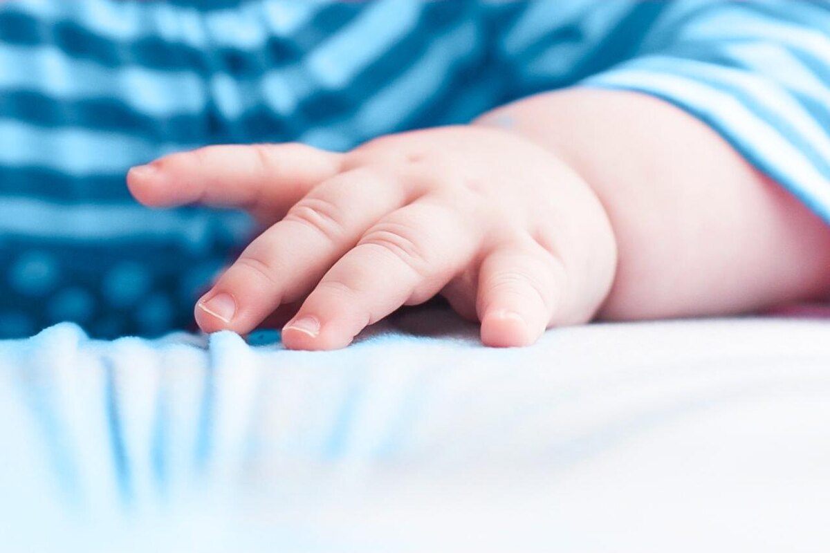    © фонд "Дедморозим"