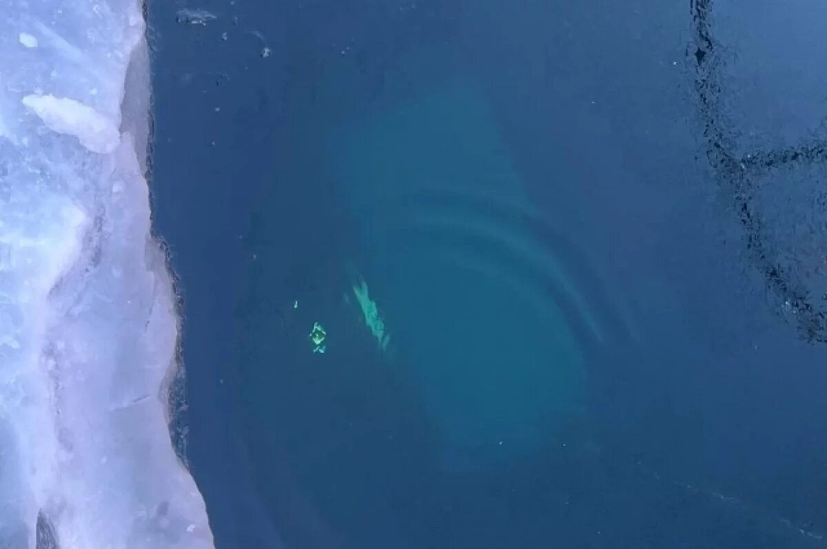    Тела погибших на Байкале семерых туристов из Китая передали родственникам