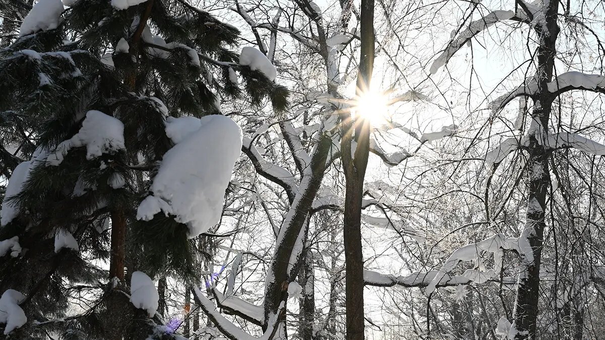    Фото: vm.ru Марк Федотов