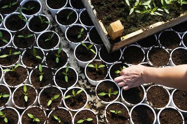 Александр Кряжев/РИА «Новости»   📷