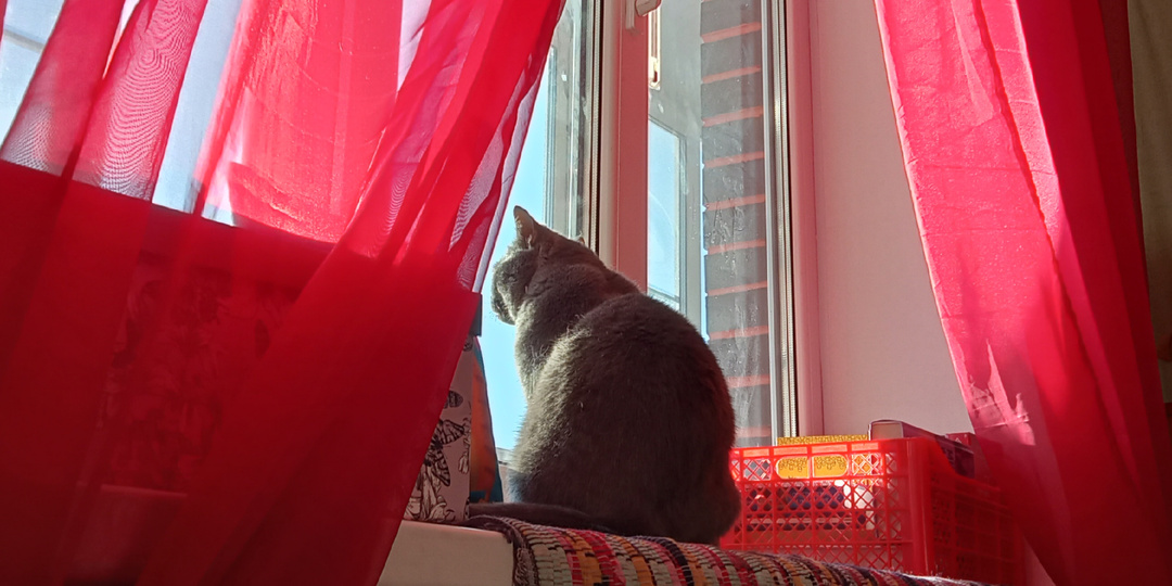 Если не спасли огни больших городов, спасут ли огни малых?