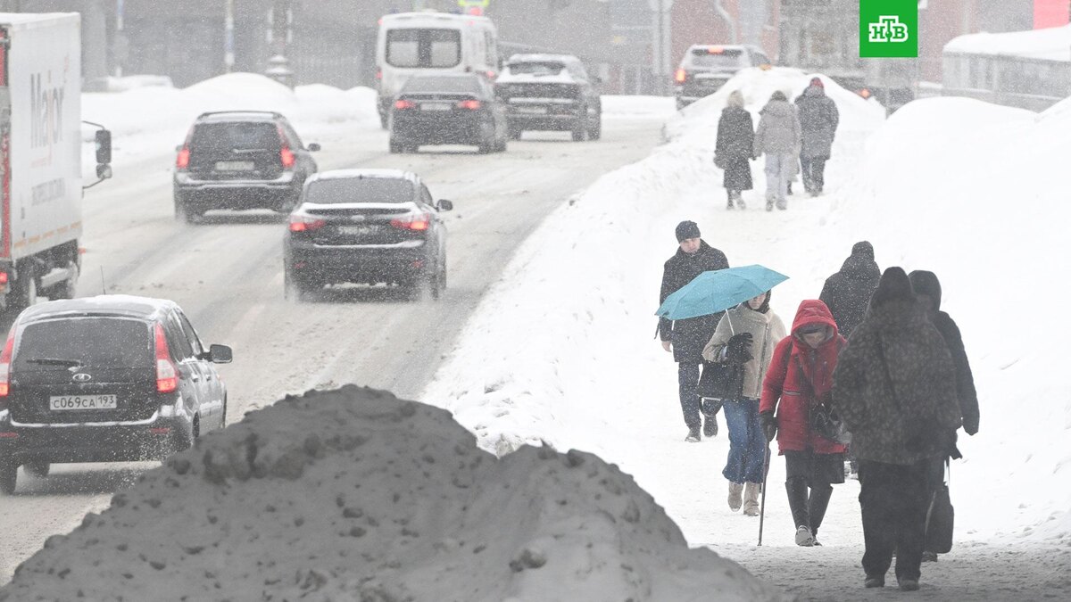    Фото: РИА Новости © 2026, Михаил Воскресенский