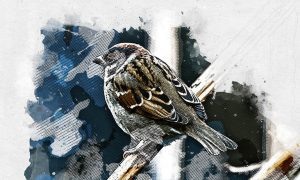 Изображение от wirestock на Freepik  📷
