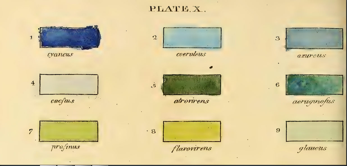 Таблица цветов Карла Людвига Вильденова в «The principles of botany, and of vegetable physiology» 1805.