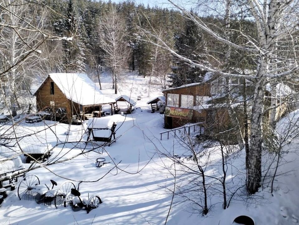    Кафе суд обязал снести. Источник: t.me/tgsudalt