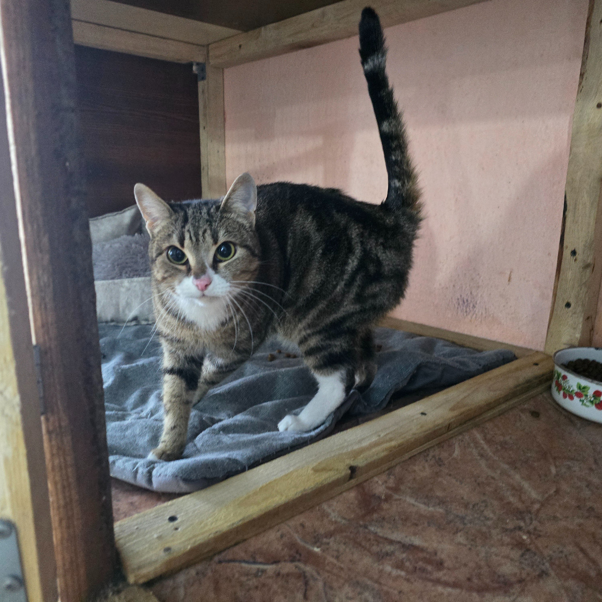 настороженные глаза малышки